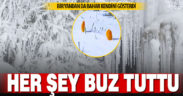 Denizli’nin dağlarında buz tutan ağaçlar ve çiğdemler bir arada