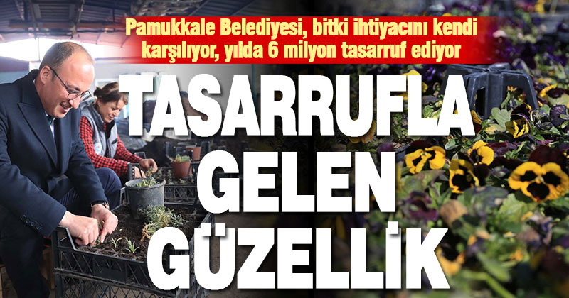 Bitki üreten Pamukkale Belediyesi, ilçeyi tasarrufla güzelleştiriyor