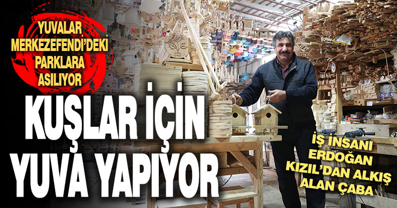 İş insanı Kızıl kuşlar için yuva yapıyor