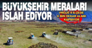 Büyükşehir meraları ıslah ediyor