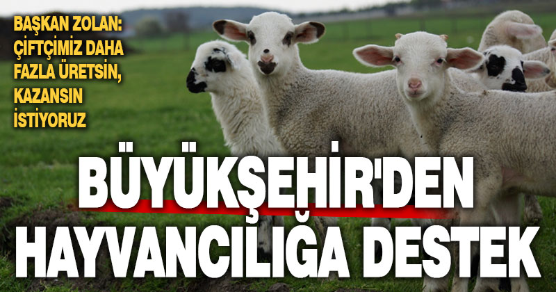 Büyükşehir’den küçükbaş hayvancılığa büyük destek