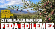 DOÇEV’den maden yönetmeliğinde zeytinlik kararına tepki