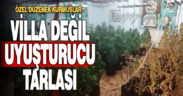 Villada özel düzenekle uyuşturucu yetiştiren 2 kişi yakalandı