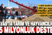 Tavas Belediyesi tarım ve hayvancılıkta örnek oluyor