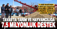 Tavas Belediyesi tarım ve hayvancılıkta örnek oluyor