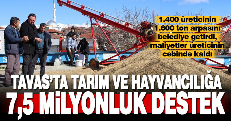 Tavas Belediyesi tarım ve hayvancılıkta örnek oluyor