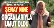 Beyin kanaması geçiren Şenay Canbaz’ın organları bağışlandı