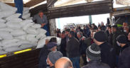 Denizli’de arı yetiştiricilerine şeker desteği