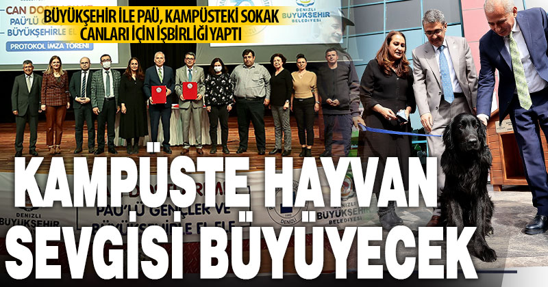 DBB ile PAÜ, kampüsteki sokak hayvanları için işbirliği yaptı