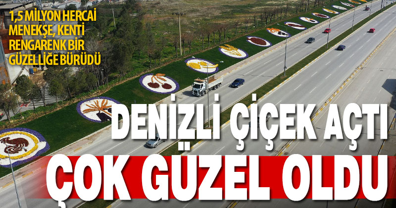 Peyzaj düzenlemeleriyle Denizli, baharda bir başka güzel oldu