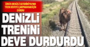 Aydın’da demiryoluna giren deve, trenin durmasına neden oldu