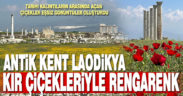 Antik Kent Laodikya, kır çiçekleriyle rengarenk