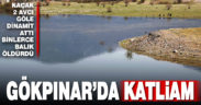 Gökpınar’da patlayıcı ile balık avladılar