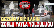 Gezgin arıcılar Acıpayam yaylalarına geldi