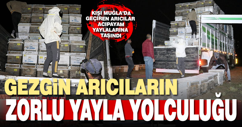 Gezgin arıcılar Acıpayam yaylalarına geldi