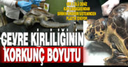 Çevre kirliliğinin korkunç boyutu