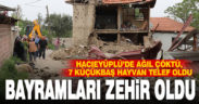 Hacıeyüplü’de ağıl çöktü, 7 küçükbaş hayvan telef oldu