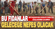 Büyükşehir’den geleceğe nefes olacak fidanlar
