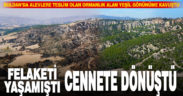 Yandıktan sonra ağaçlandırılan ormanların “öncesi ve sonrası” fotoğrafları yayınlandı