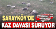Sarayköy’de CHP İlçe Başkanı, komşusunun kazlarını öldürdüğü iddiasıyla yargılanıyor