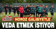 Denizlispor, sezonu galibiyetle tamamlamak istiyor