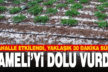 Çameli’de 3 mahalleyi dolu vurdu