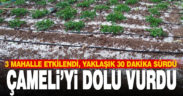 Çameli’de 3 mahalleyi dolu vurdu