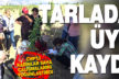 Tarlada üye kaydı
