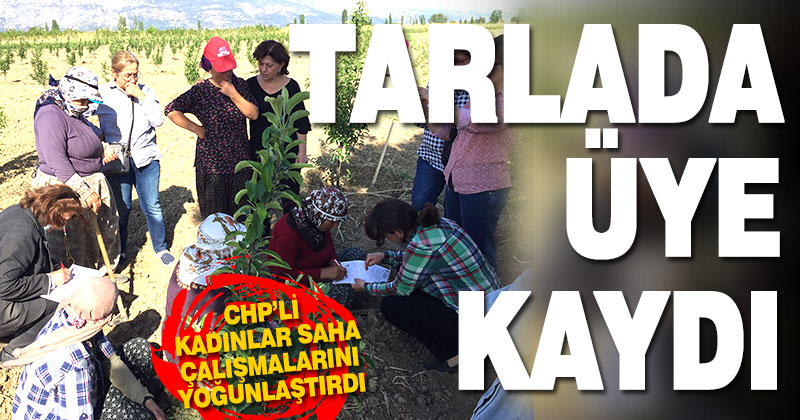 Tarlada üye kaydı