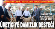 Büyükşehir üretici desteklerini aralıksız sürdürüyor. 200 aileye 400 damızlık koç ve teke hibe edildi