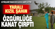 Büyükşehir yaban dostlarına sahip çıkıyor