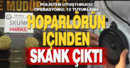 Hoparlörün içinden skunk çıktı