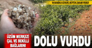 Üzüm merkezi Çal ve Bekilli’yi dolu vurdu