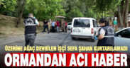 Üzerine ağaç devrilen kesim işçisi hayatını kaybetti