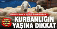 Denizli Müftülüğü kurbanlığın yaşına dikkat edilmesini istedi