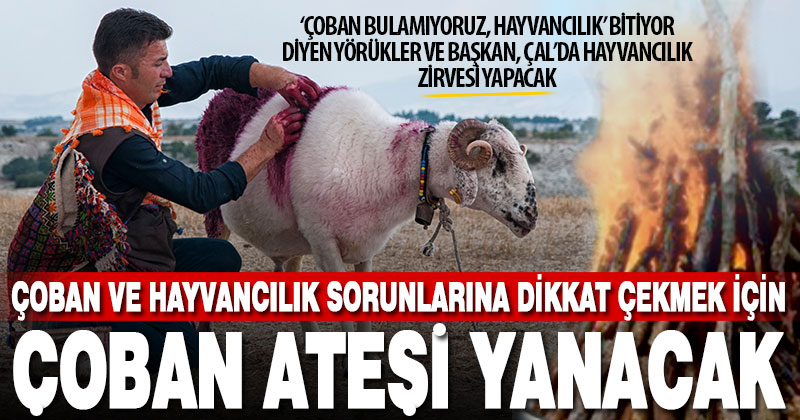 Hayvan yetiştiriciliği ve çoban sorunu Çal’daki zirvede tartışılacak