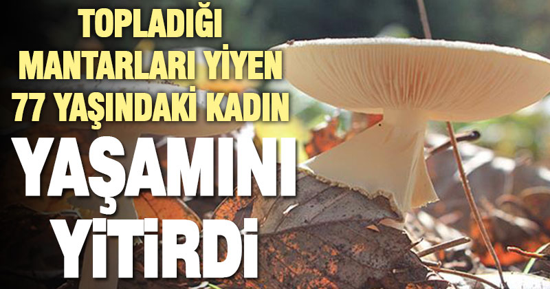 Mantar zehirlenmesi şüphesiyle hastaneye kaldırılan kadın öldü
