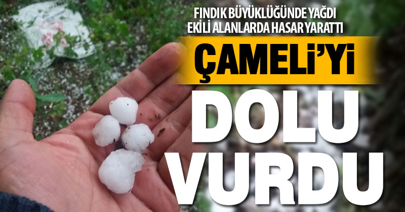 Çameli’ye fındık büyüklüğünde dolu yağdı, ekibi alanlar zarar gördü