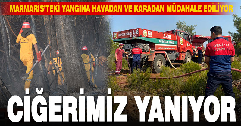 Ciğerimiz yanıyor, Marmaris yangını büyüyor