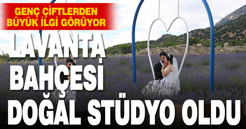 Çivril’deki lavanta bahçesi düğün fotoğrafları için doğal stüdyo oldu