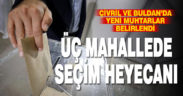 Çivril ve Buldan ilçelerinde muhtarlık seçimi yapıldı