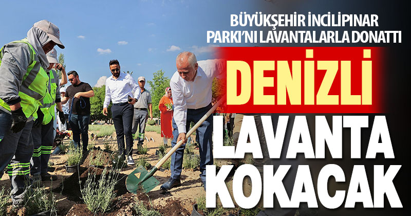 Büyükşehir İncilipınar Parkı’nı lavantalarla donattı