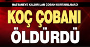 Koçun süstüğü çoban hastanede öldü