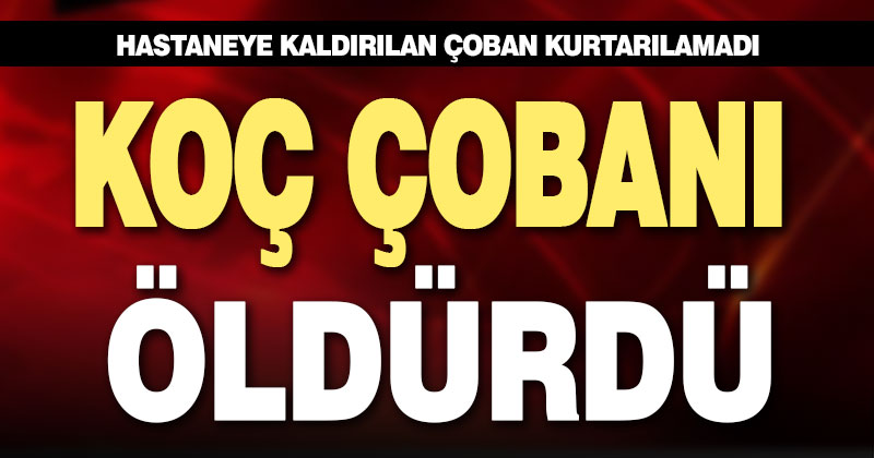 Koçun süstüğü çoban hastanede öldü