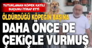 Öldürdüğü köpeğin başına daha önce de çekiçle vurmuş