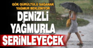 Denizli sağanakla serinleyecek