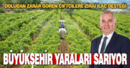Büyükşehir’den üreticiye zirai ilaç desteği