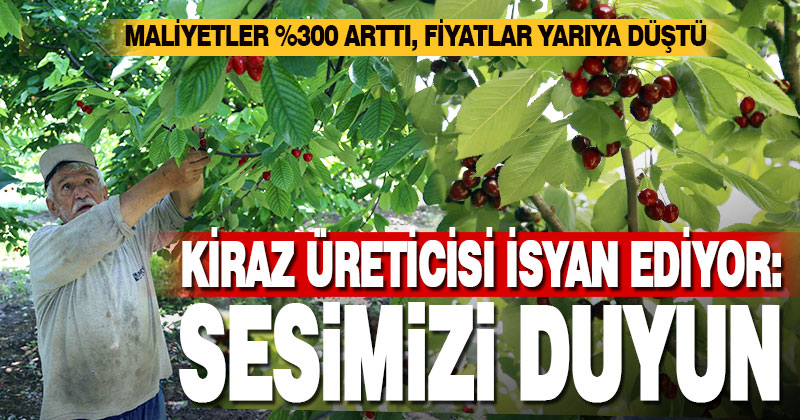 Honaz’da kiraz üreticileri isyan etti: Sesimizi duyun