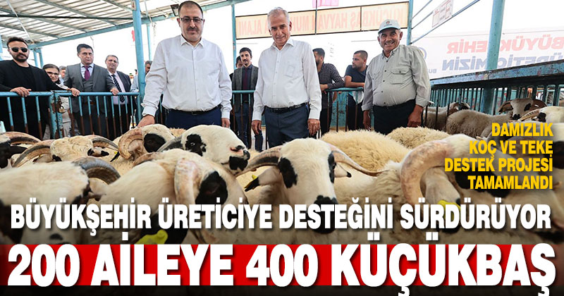 Büyükşehir’den 200 aileye 400 küçükbaş hayvan