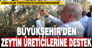 Büyükşehir’den zeytin üreticilerine destek